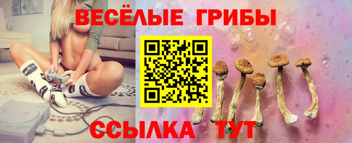 Псилоцибиновые грибы мицелий  купить наркотики цена  Саров  Вход с VPN 