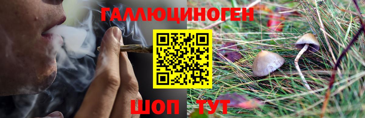 Псилоцибиновые грибы прущие грибы Саров